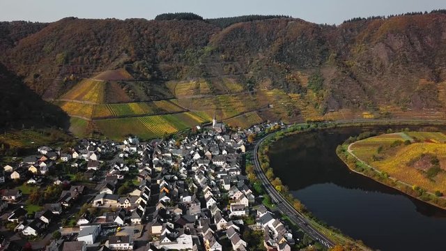 Flight over autumn Bremm vineyards and Mosel river, Germany.