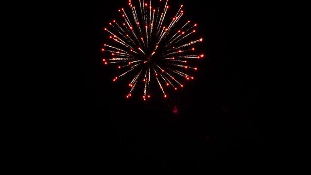 Colorful fireworks at holiday night. Slow motion