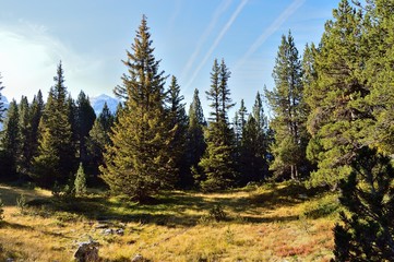 Vanoise