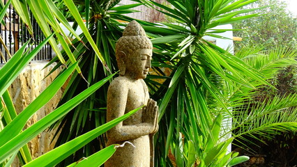 Buddha