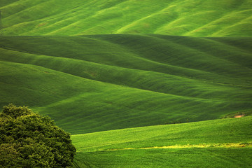 Summer landscape in Tuscany, Italy, Europe
