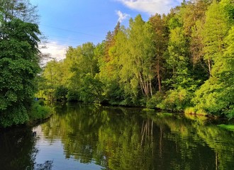 Fototapeta na wymiar Rzeka Łyna