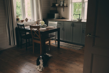 cozy cabin interior. Country grey kitchen with open shelfin in rustic style. Rural life concept © mashiki