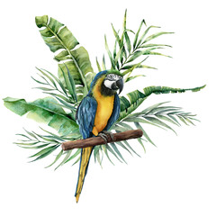 Watercolor parrot with tropical leaves. Hand painted parrot with monstera, banana and palm greenery branch isolated on white background. Nature illustration with bird. For design, print or background. © yuliya_derbisheva