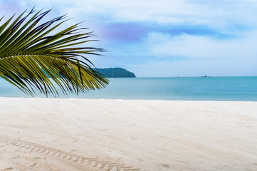 Palm leaf branch over a tropical beach