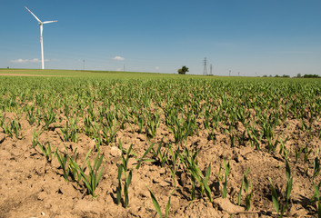 early spring rural landscape