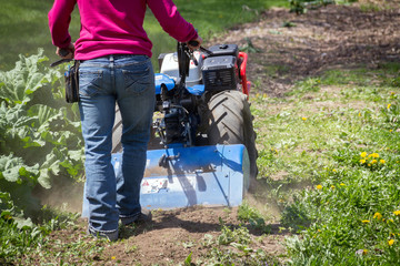 Woman worker driving rototiller tractor unit preparing soil on outdoor garden