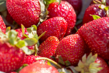 strawberries macro