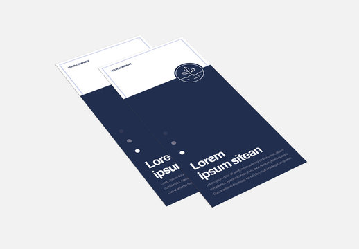 Trifold Brochure Layout with Blue Accents