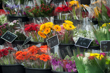 closeup of flowers bouquet collection at the florist in the street