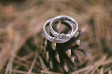 wedding rings in forest  with blury background
