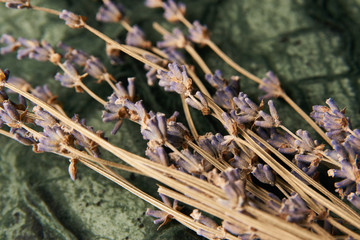 Dry violet color flowers on green marble background, close-up