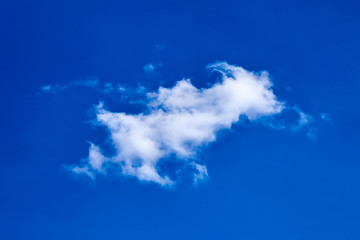 Fototapeta na wymiar lonely white fluffy cloud on blue sky background