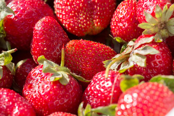strawberries macro