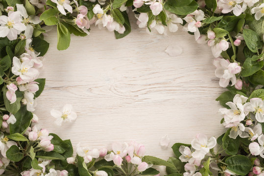 Spring flowers frame on wooden background 