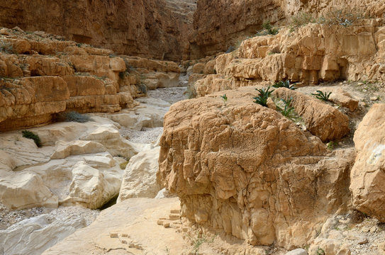 Wadi Murabba'at canyon ( Nahal Darga) ,Judean desert, Israel,Middle East