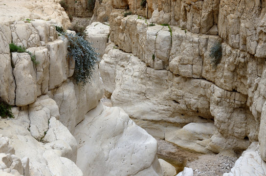 Beautiful  Nahal Darga canyon ,Judean desert, Israel,Middle East