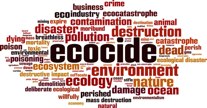 Ecocide Word Cloud