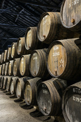 Row of wooden porto wine barrels in wine cellar Porto, Portugal.