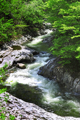 夏の中津川渓谷（猪苗代町・北塩原村）