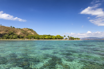 Coral in aquamarine water in the Seventeen Island National Park, Flores, Indonesia.