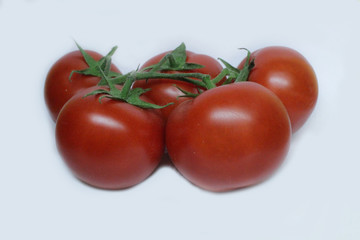 red tomatoes background. Group of tomatoes