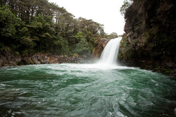 Fototapeta premium White Water, Landscape, falls, New Zealand, Nort Island