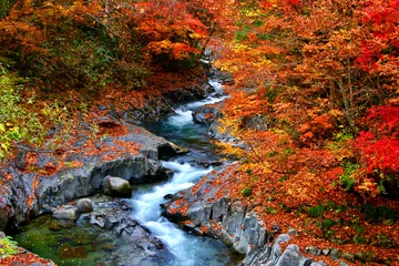 Foto op Plexiglas Baksteen Nakatsugawa-vallei in de herfst (Inawashiro-stad, Kitashiobara-dorp)