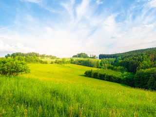 Summer landscape with lush green meadows, forest, blue sky, white clouds and bright shining sun,...