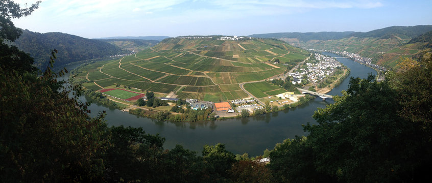 Moselle river at Zell, Germany