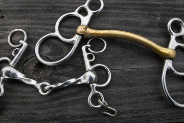 Horse bridles lying on wood