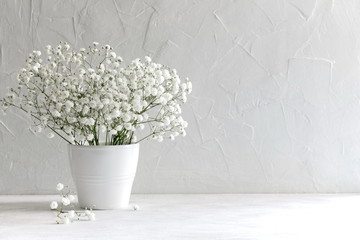 Small white flowers on a white background. Soft home decor. Gypsophila flowers. White flowers in a...