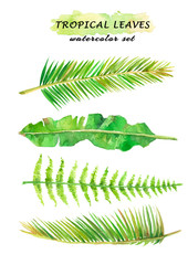 Watercolor set of tropical leaves - palm tree branches, banana and fern leaves. Hand drawn illustration isolated on white background.