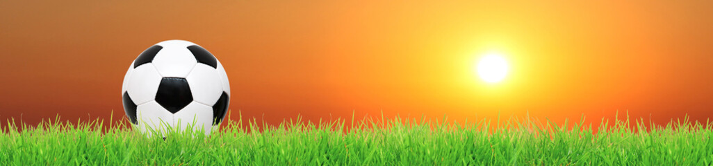 Ball auf dem Fussballplatz