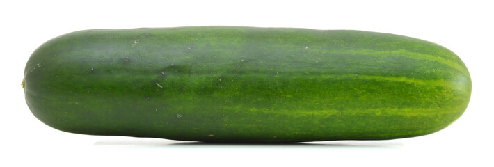 A fresh and tasty green vine ripened garden grown cucumber isolated on white.