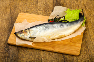 Herring fish