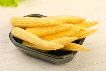 Young baby corn