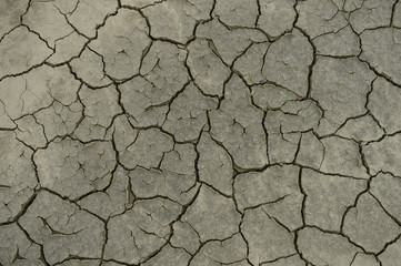 The parched soil
