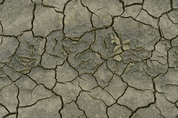 The parched soil