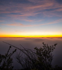 Fototapeta premium Fog rolling over East Bay 2015 -2