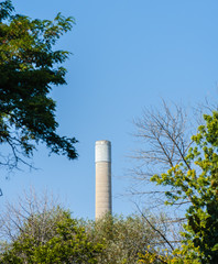 Industrial smoke stack rising behind trees.