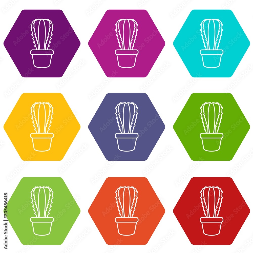 Poster rectangular cactus icons 9 set coloful isolated on white for web