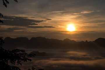 Sunrise mist moving over the forest.