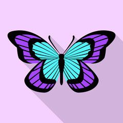 Aqua purple butterfly icon. Flat illustration of aqua purple butterfly vector icon for web design