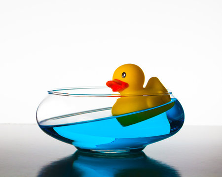 quirky ducky 4