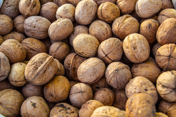 Walnut. A lot of nuts.