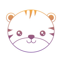 cute tiger icon over white background, colorful design. vector illustration