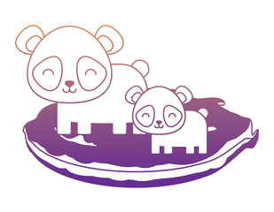 cute panda bears on the grass over white background, colorful design. vector illustration