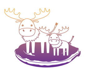 cute elks on the grass over white background, colorful design. vector illustration