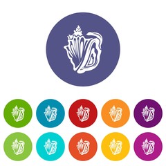 Rapan icon. Simple illustration of rapan vector icon for web